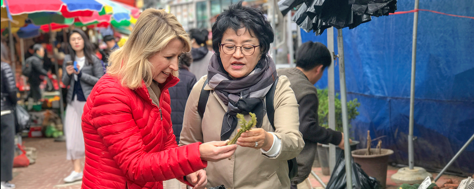 Samantha Brown, Season 2 of Places to Love: Seoul, South Korea (link)